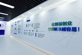 互联网服务 创新创业的沃土，方兴未艾的新篇章
